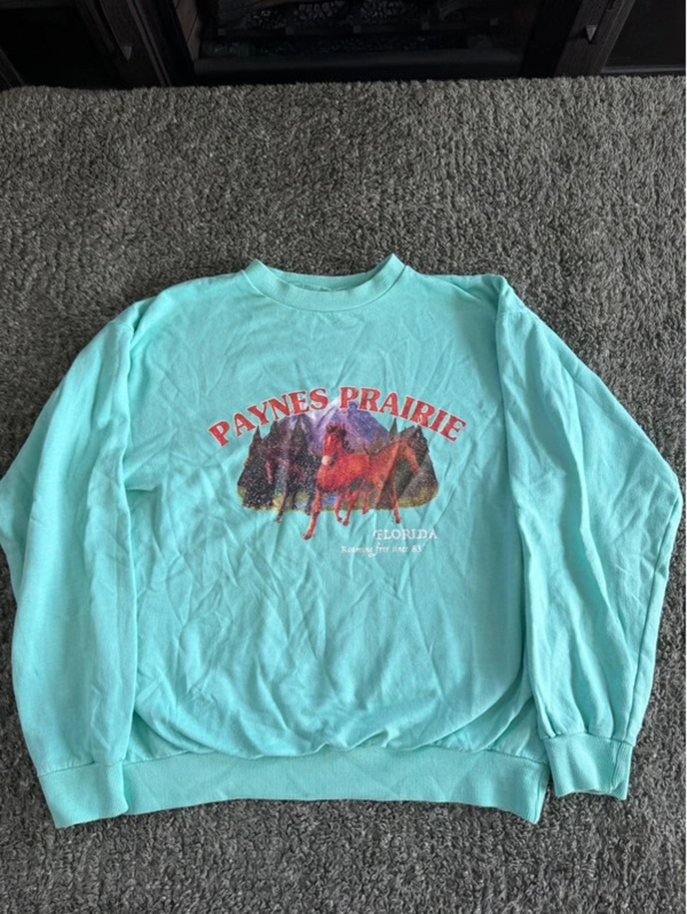 Daisy Street Paynes Prairie Florida Graphic Sweatshirt in Mint Green, Size Small